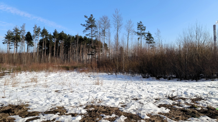 Первая неделя марта будет холодной для нижегородцев