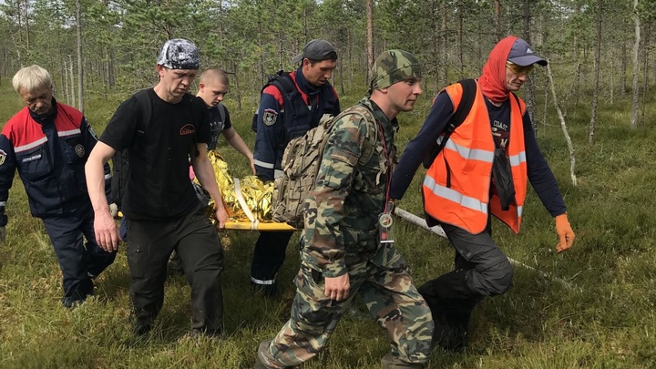 Разгар тихой охоты: Волонтёры посчитали, сколько людей пропало в лесах Петербурга и Ленобласти