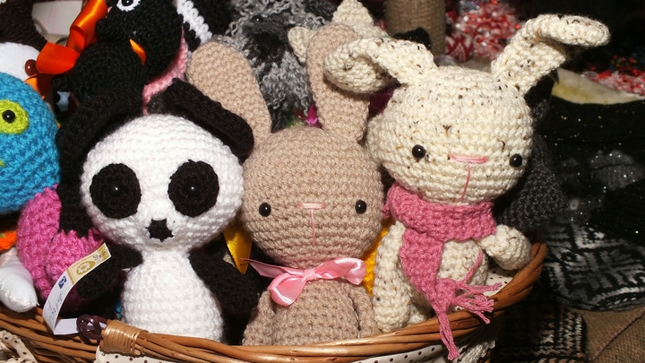 В Новосибирске 6-летний мальчик пишет книгу и шьёт её героев