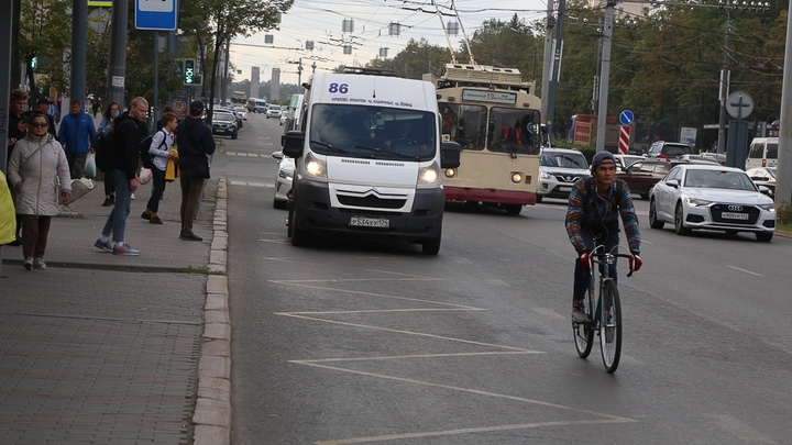 Прятал машину в кустах: в Шадринске полицейские нашли нарушителя