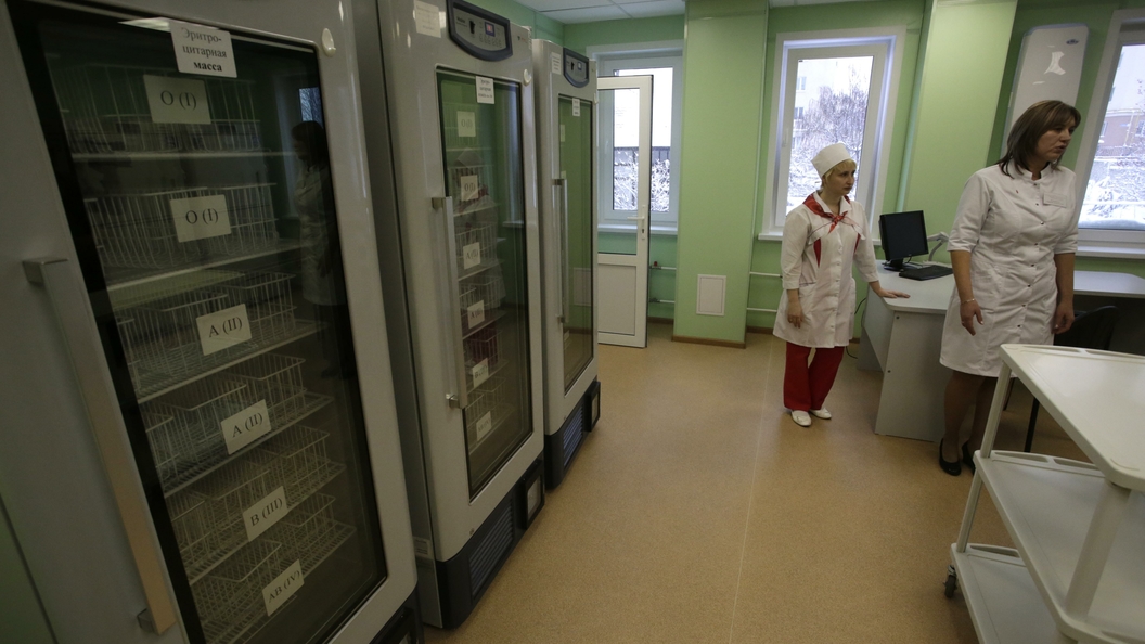После нападения кота в Москве госпитализировали целую семью После нападения кота в Москве госпитализировали целую семью