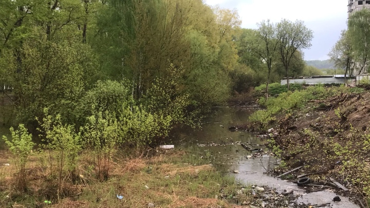 Место Шуваловской свалки в Нижнем Новгороде предлагают превратить в новое кладбище