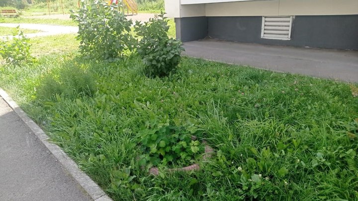 Решение властей разгневало жителей кузбасского города