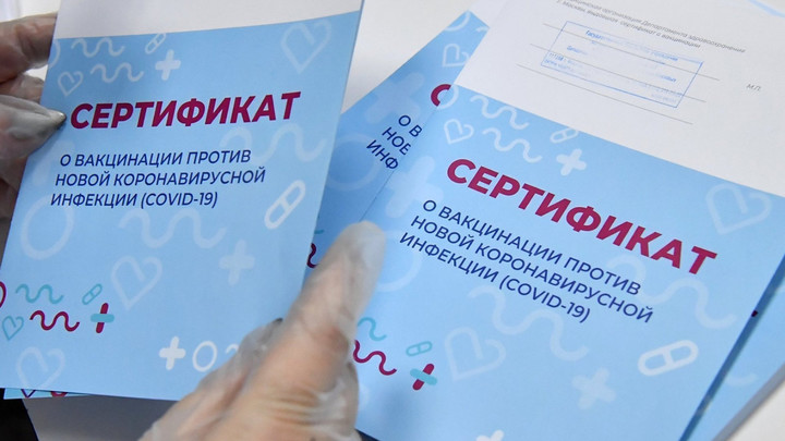 За поддельные сертификаты о вакцинации жителям Подмосковья грозит год тюрьмы