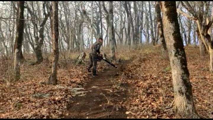 В Сочи локализовали все очаги пожара