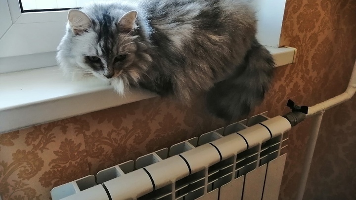 Жители коттеджного поселка под Екатеринбургом в мороз остались без света и отопления