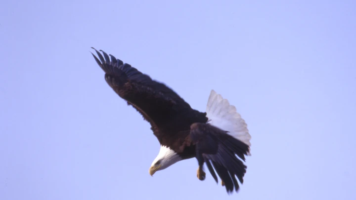 Миршаймер: Запад создаст новые проблемы России после её победы на Украине