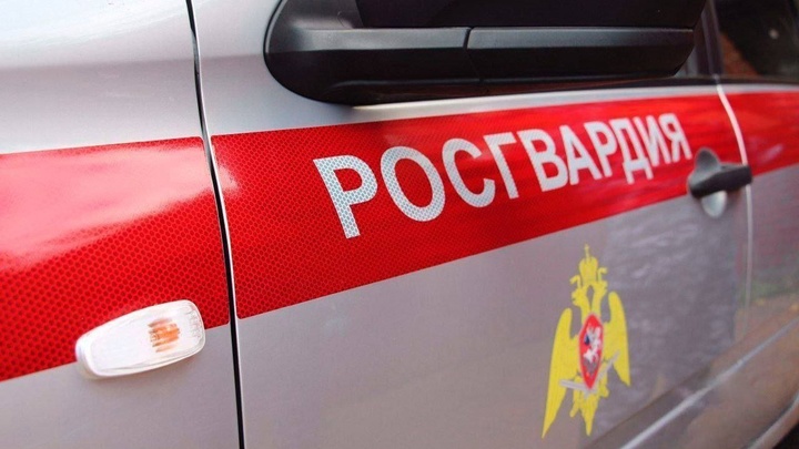 Домогавшегося до девочки в Балашихе мигранта задержала Росгвардия