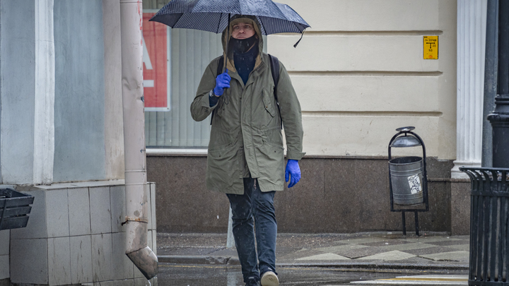 Погода в Ленинградской области на 25 апреля 2022: с начала недели регион накроют дожди