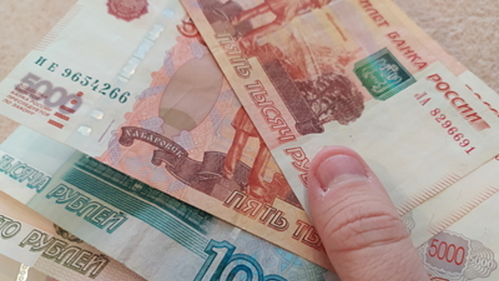В Новосибирске с 28 декабря начали принимать заявления на новое единое пособие
