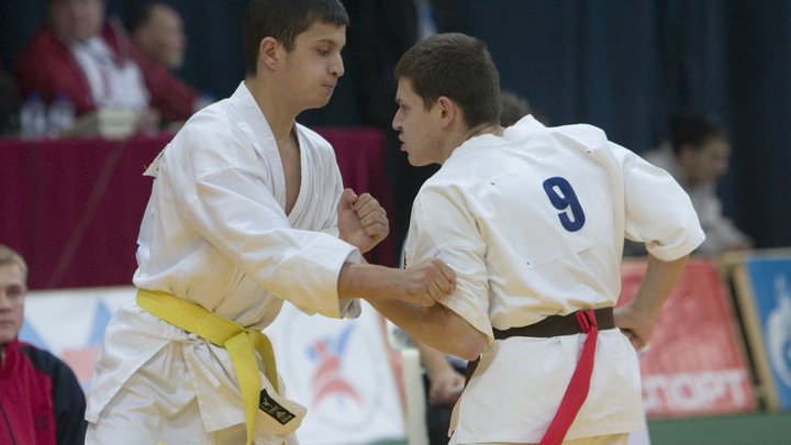 В Сочи уроки самбо станут обязательными во всех школах с 1 сентября