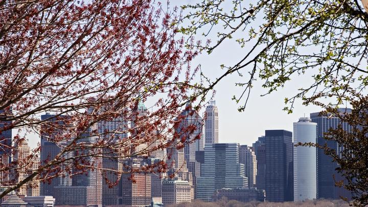 Паника в Нью-Йорке: Что заставило тысячи людей поверить в бомбардировку?