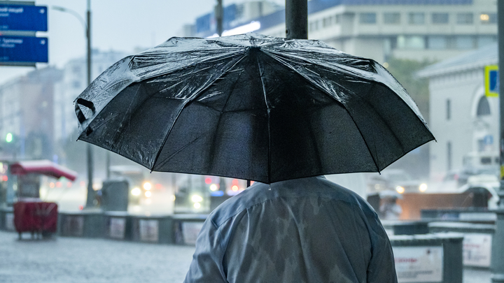 Снятый с выборов Шлосберг скаламбурил про Дождь*