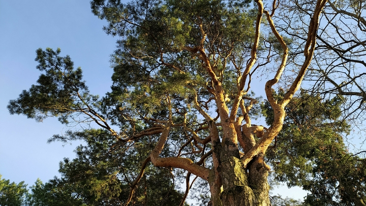 В России начался сбор заявок на Зелёную премию