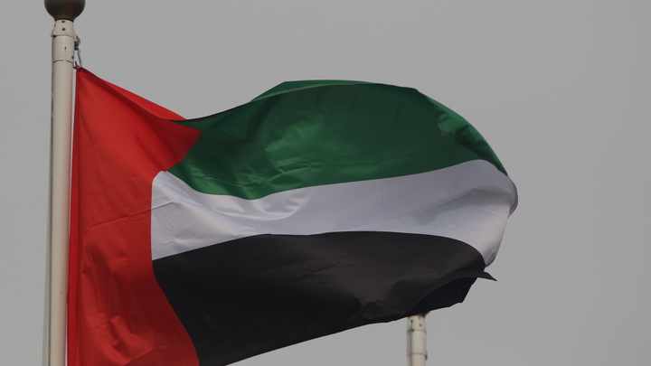 Не война, а ликвидация: Эмираты надеются вместе с Россией уничтожить США