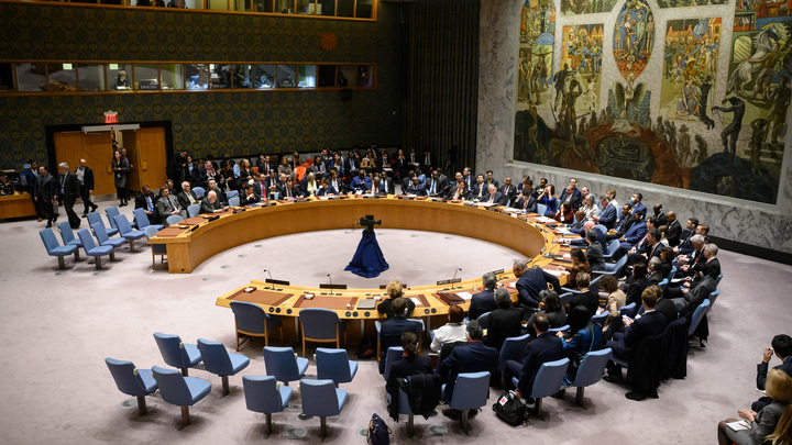 Шарий вам такого не покажет: Дипломатический источник слил письмо Небензи