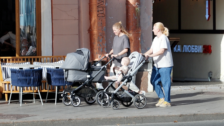 Материнский капитал пустят под нож? Почему хотят урезать помощь семьям, объяснила депутат