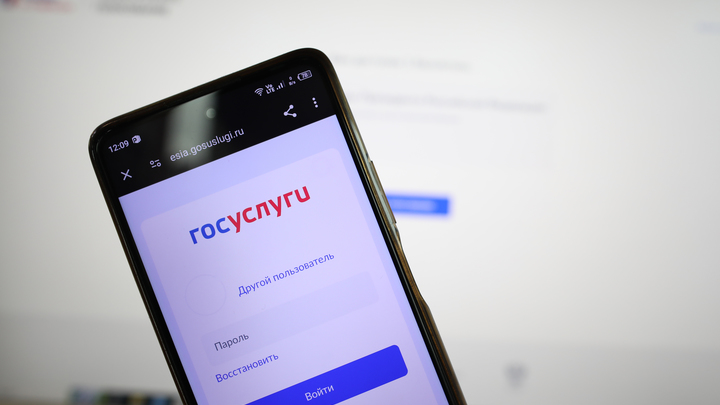 В МВД рассказали о двух схемах кражи мошенниками данных с Госуслуг