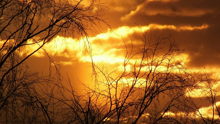 Лаборатория солнечной астрономии: в начале 2025 года ожидается возбуждённая магнитосфера