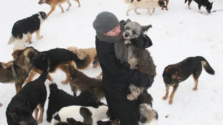 Собаки всю ночь отогревали и защищали потерявшуюся в лесу пенсионерку