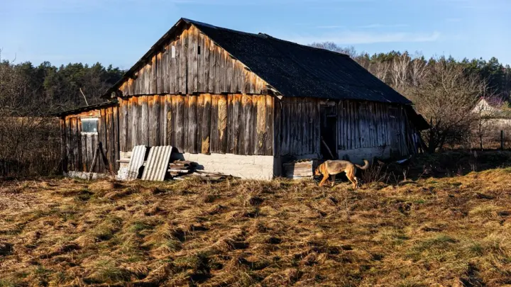 Житель новосибирского села стал фигурантом дела о поджоге фермы с тушами коров