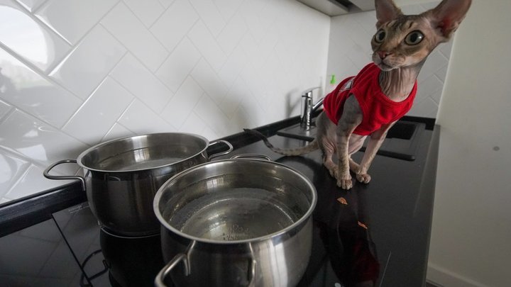 Где в Краснодаре отключат горячую воду в июле 2020 года: публикуем график с 6 по 20 июля