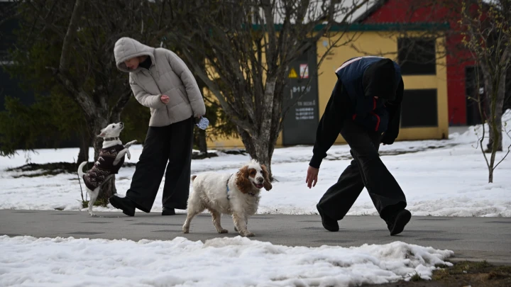 Такого не было более 100 лет: Москву накрыл рекордный снегопад - фото