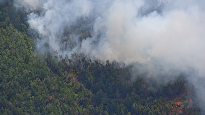 Полыхают 30 тысяч квадратов: в Сочи тушат крупный лесной пожар