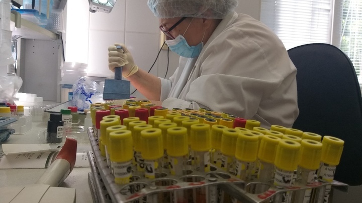 Жителям Краснодарского края помогут держать уровень «солнечного» витамина D под контролем