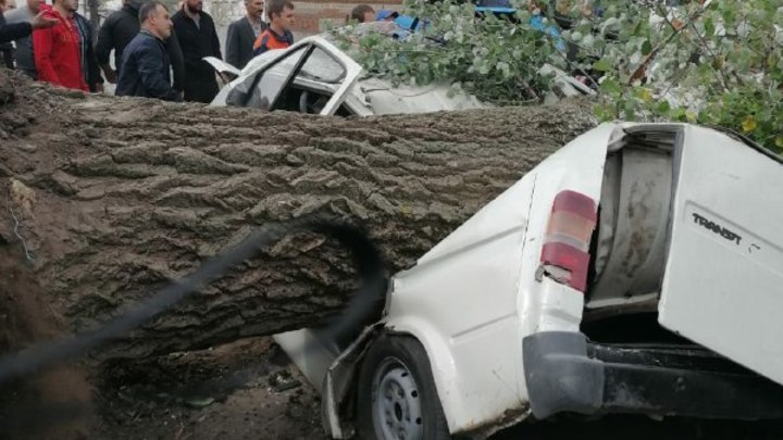 В Ростовской области по факту гибели двух братьев во время урагана возбуждено уголовное дело