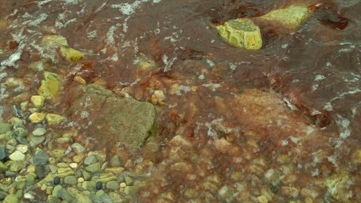 Росприроднадзор объяснил, почему в районе Новороссийска море стало красного цвета