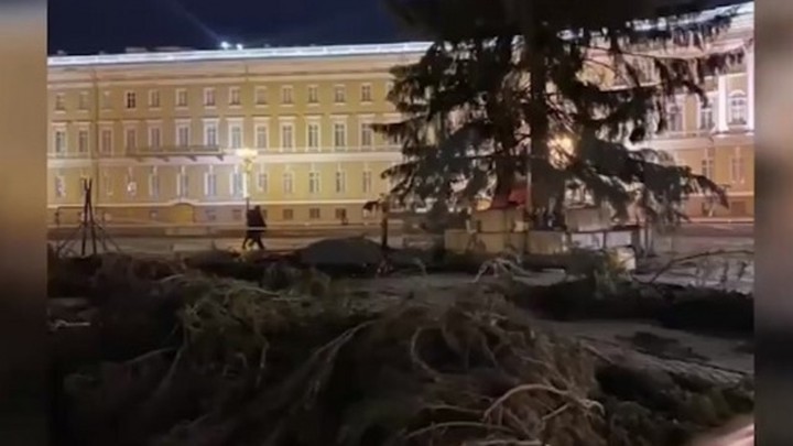 Мешает молодняк: в Смольном ответили, почему елка на Дворцовой за 10 миллионов выглядит «облезлой»