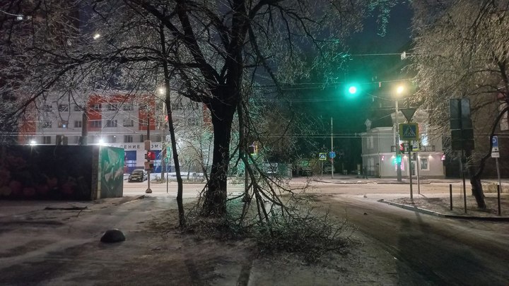 В Ростове на прохожего упала огромная ветка 15 декабря