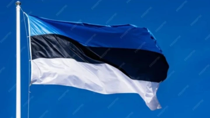 Эстония осознала риски войны с Россией, президент Карис призвал к диалогу