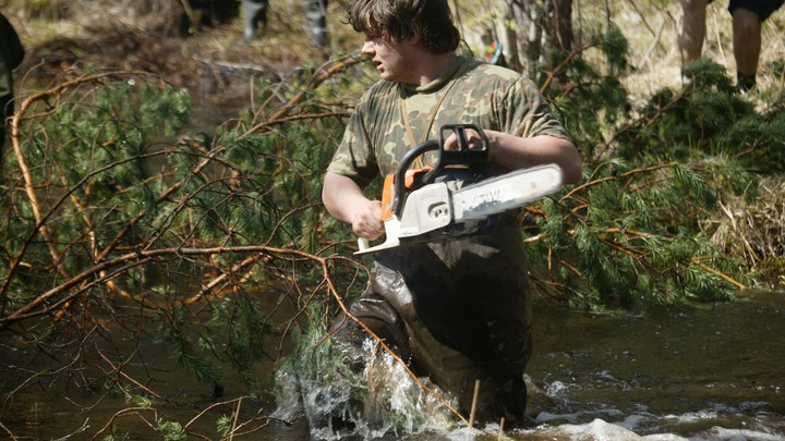 Александровский дебошир с электропилой получил свой срок
