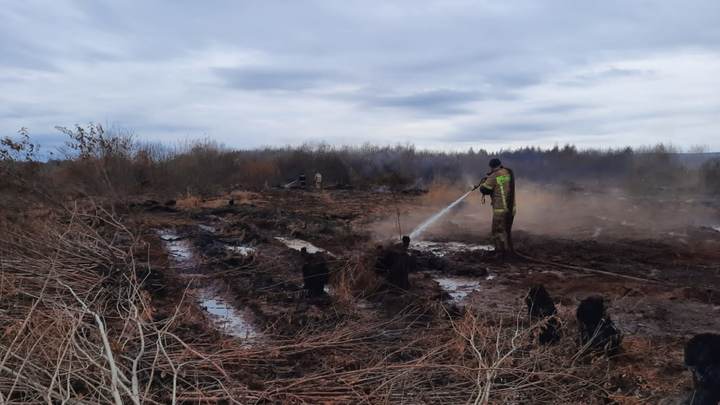 Под Екатеринбургом потушен торфяной пожар, три недели отравлявший воздух над городом