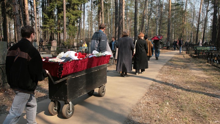 Оцинкованный детский гроб нашли в лесу Ставрополья