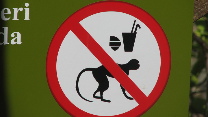 Средство биотерроризма: Мясников раскрыл новые подробности об оспе обезьян