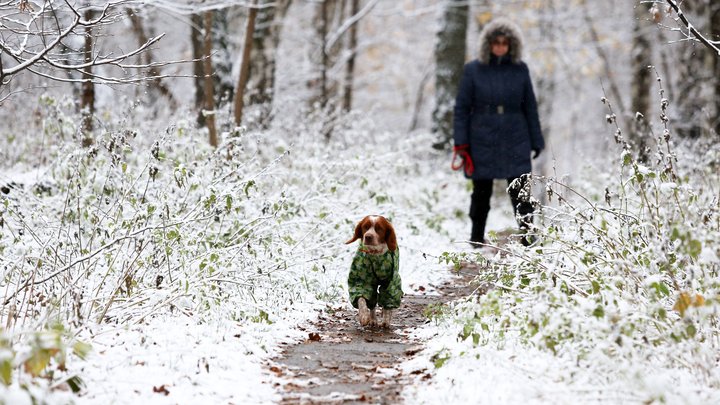 Екатеринбург завалит снегом в ближайшие сутки