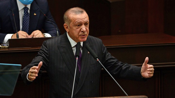 Эрдоган - это трактор: Турецкому лидеру посоветовали не слишком увлекаться Карабахом