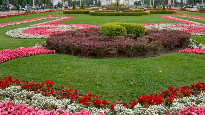 На создание цветников в центре Нижнего Новгорода власти выделили 25,5 млн рублей
