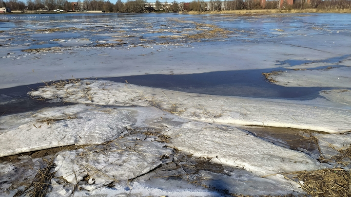 Мужчина украл продуктовую тележку и упал с ней в ледяную воду в Подмосковье