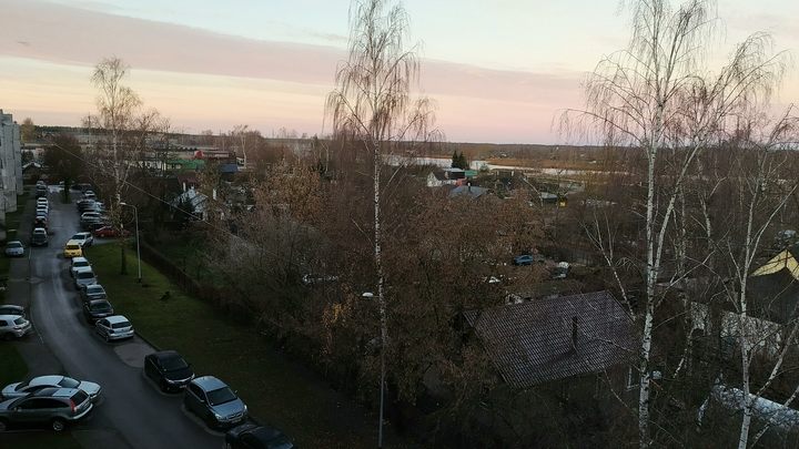 Начало ноября во Владимирской области стало самым теплым за всю историю наблюдений
