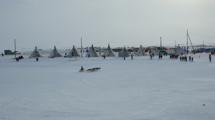 Лавров предупредил НАТО о готовности дать военный ответ из-за учений альянса в Арктике