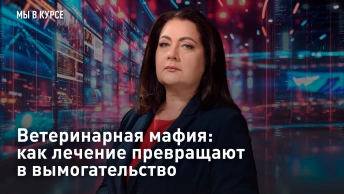 Ветеринарная мафия: как лечение превращают в вымогательство