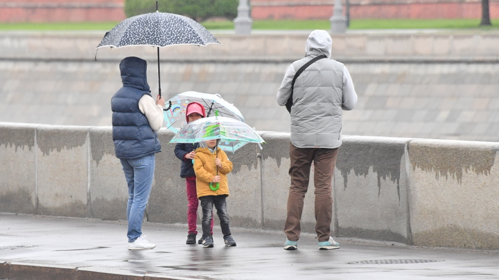 Просроченные в пандемию алименты выплатит государство? Родители сделали предложение