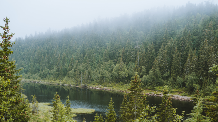 Беда помогла в карьере? Судьбу сына пропавшей Усольцевой узнали СМИ