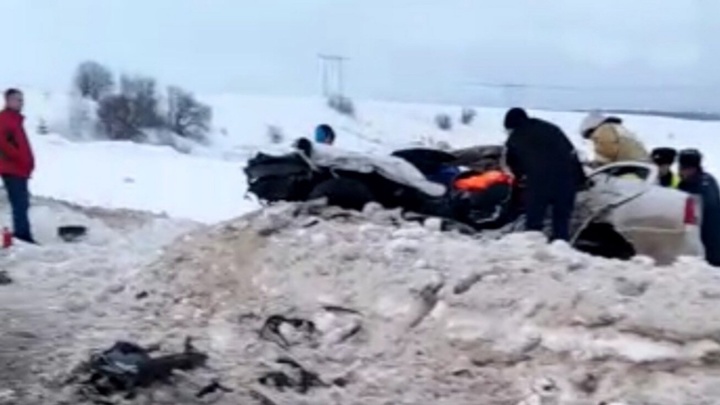 Иномарка влетела в фуру на юге Нижегородской области: погибли двое взрослых и ребёнок