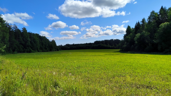 Аномальная жара на Среднем Урале сменится похолоданием и дождями