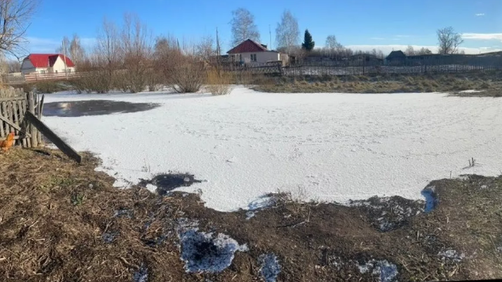 Трагедия в Алтайском крае: 2-летняя девочка утонула в луже около дома